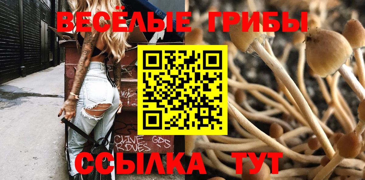 Орск  Псилоцибиновые грибы GOLDEN TEACHER  Вход с VPN  Псилоцибиновые грибы Cubensis 