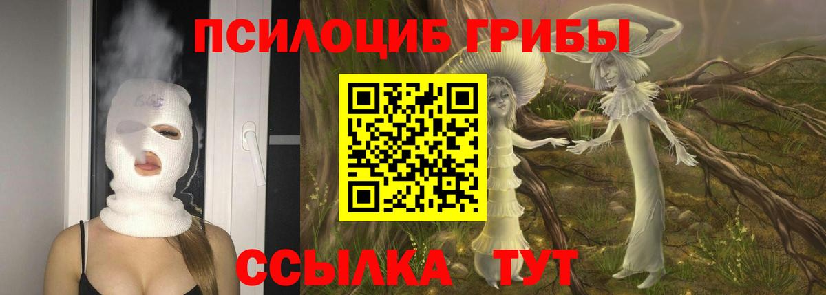 Псилоцибиновые грибы прущие грибы Орск